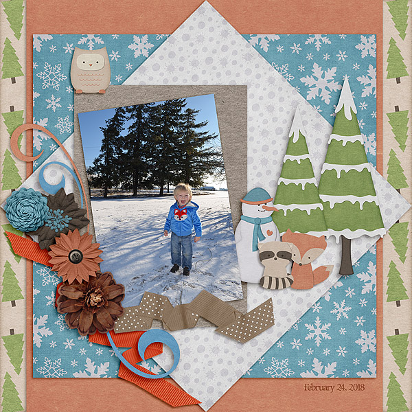 Woodland Winter