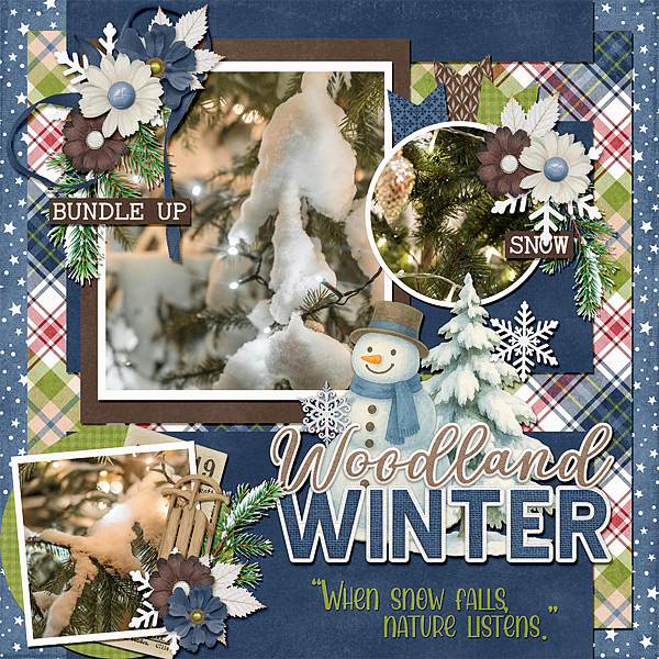 Woodland Winter
