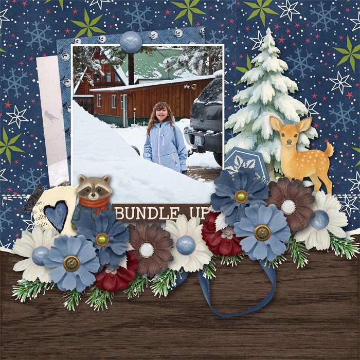 Woodland Winter