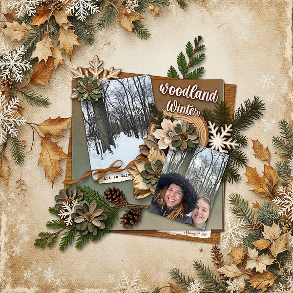 Woodland Winter