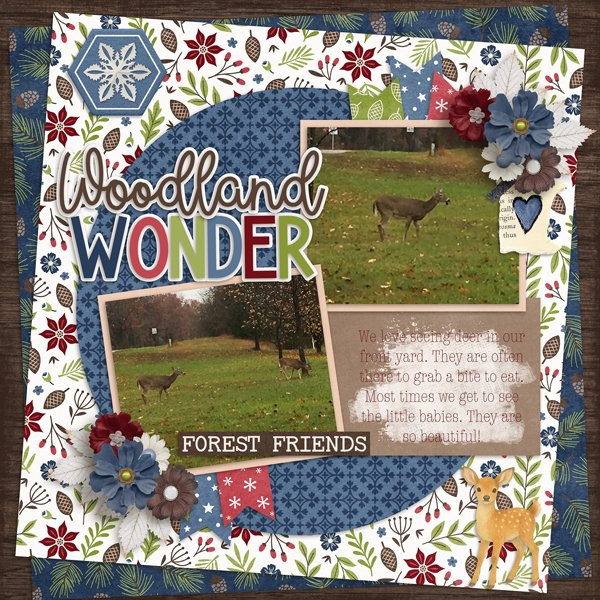 Woodland-Wonder-web.jpg