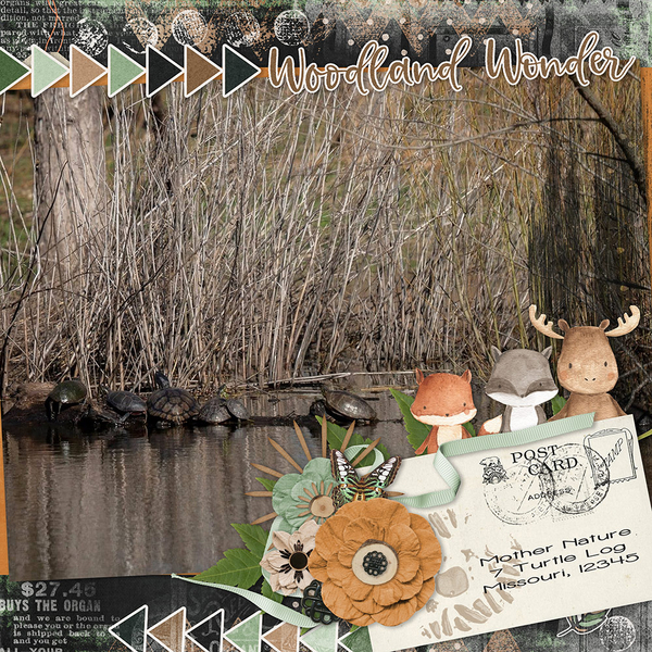 WOODLAND WONDER