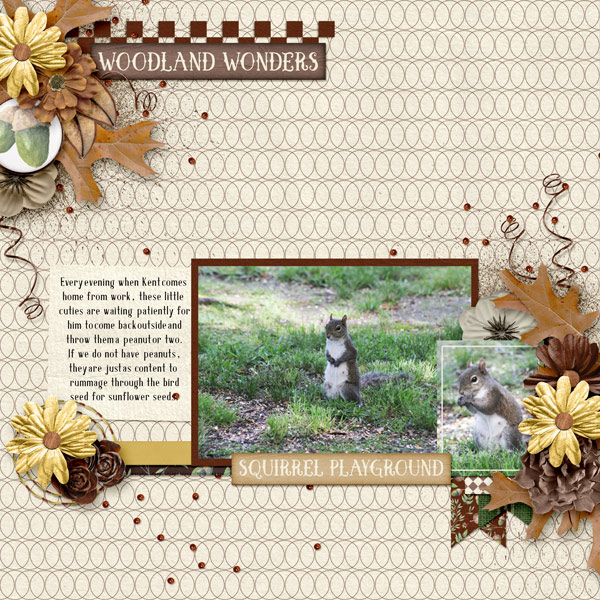Woodland Wonders