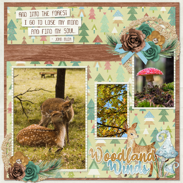 woodland_winds1