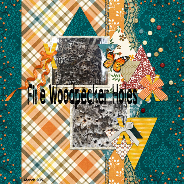 Woodpecker holes