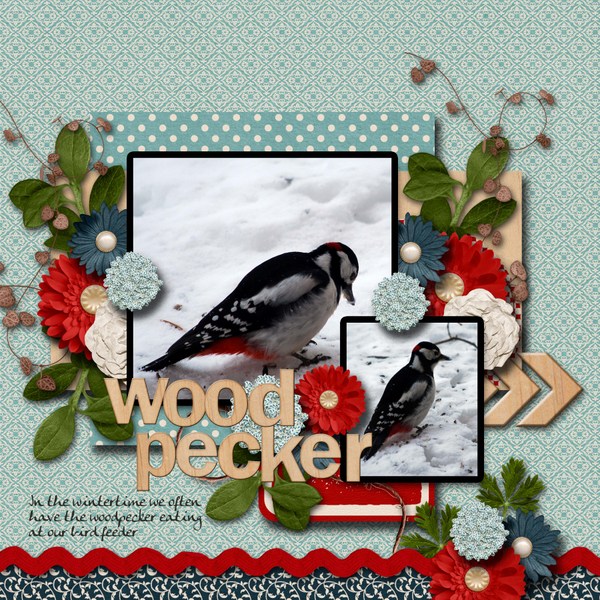 Woodpecker