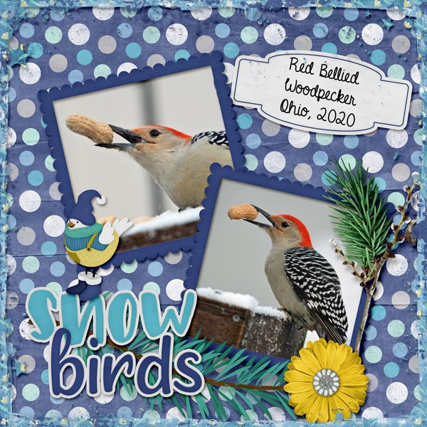 Woodpecker