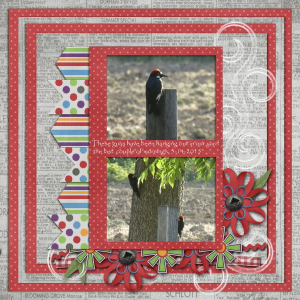Woodpeckers