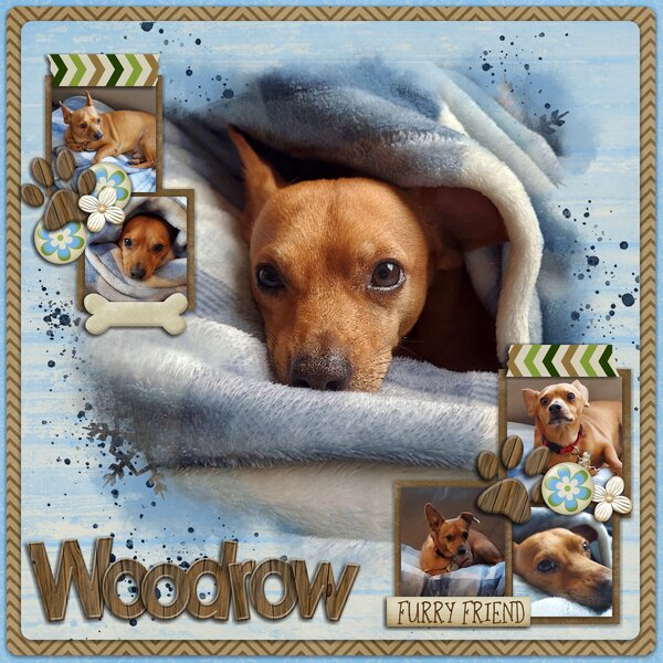 Woodrow