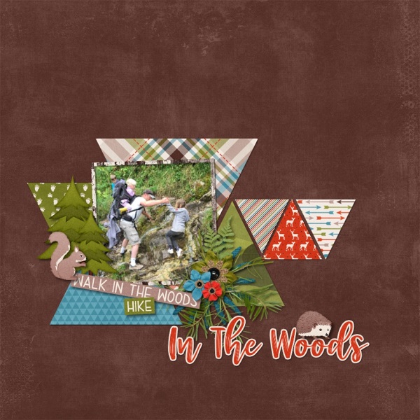 Woods