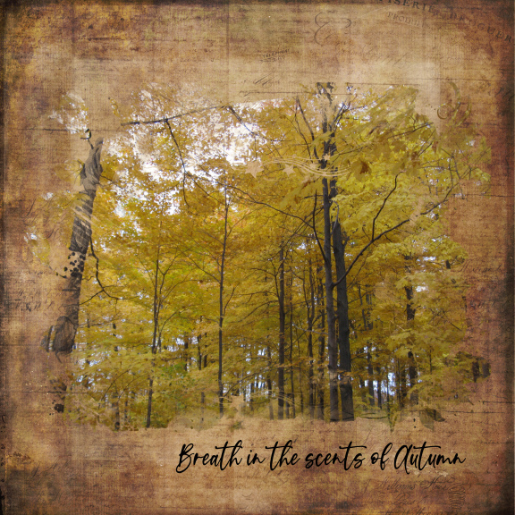 Woods