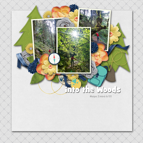 woods