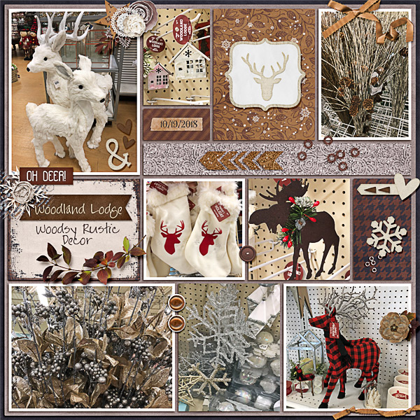 Woodsy Rustic Decor