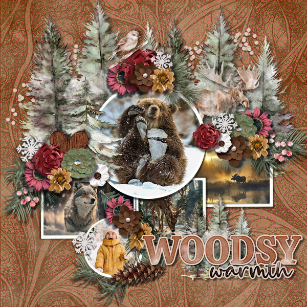 Woodsy Warmth