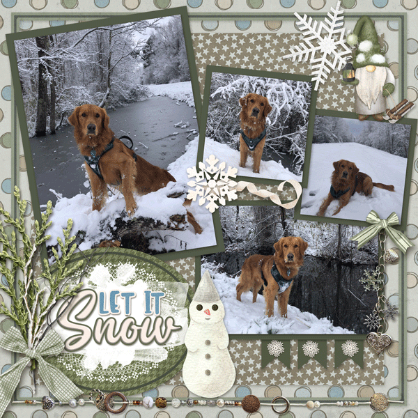 Woody in the snow