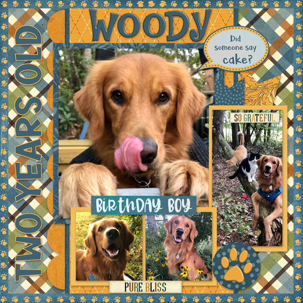 Woody is Two!