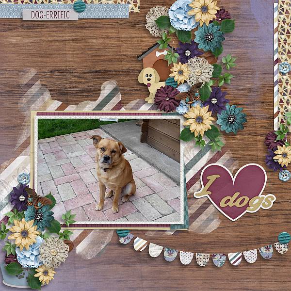 Wooftastic