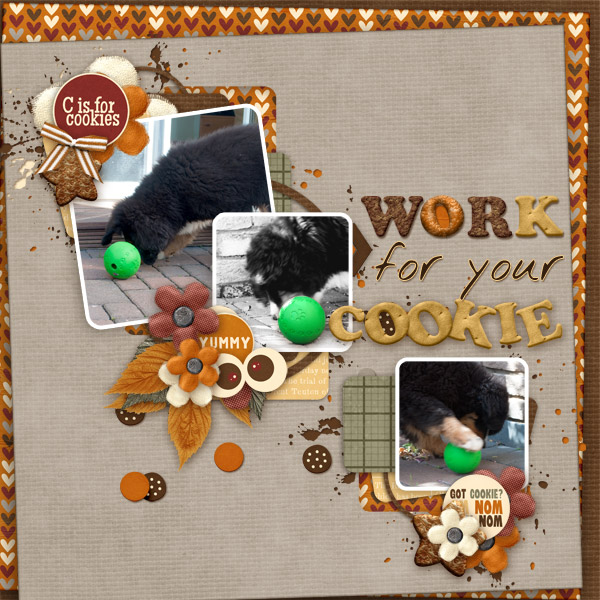 Work for your cookie