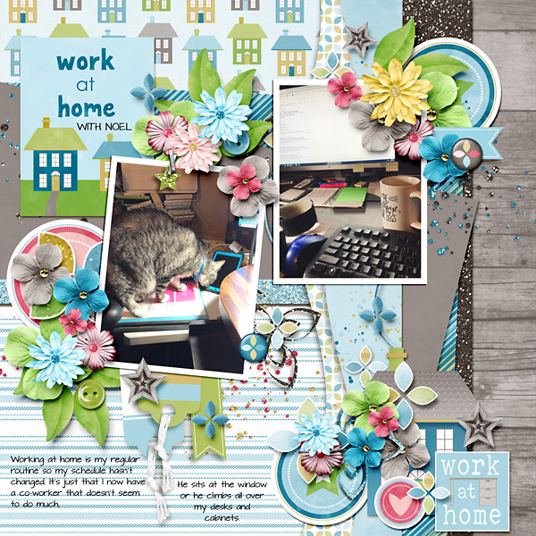 Working At Home With Noel