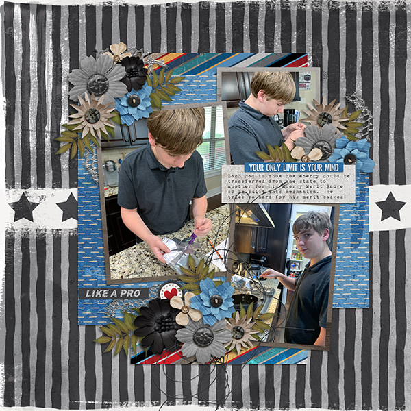 Working on Merit Badges