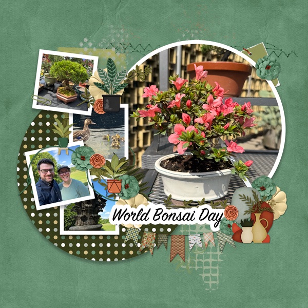 World Bonsai Day