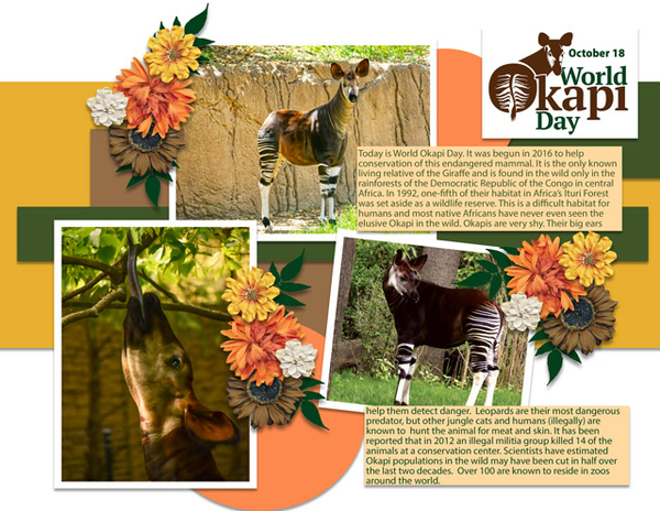 World Okapi Day