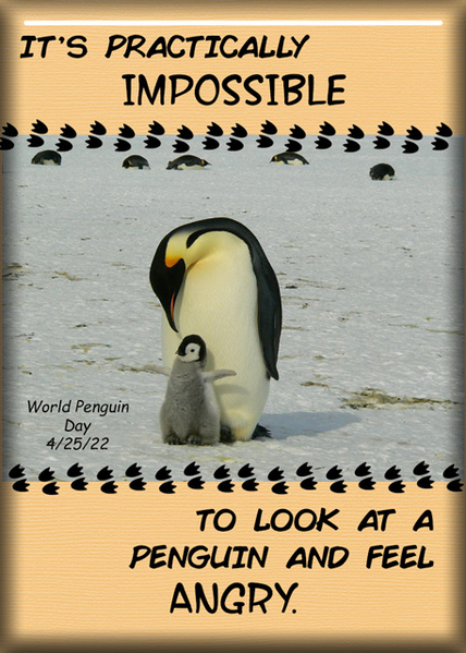 World Penguin Day