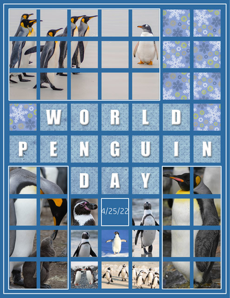 World Penguin Day