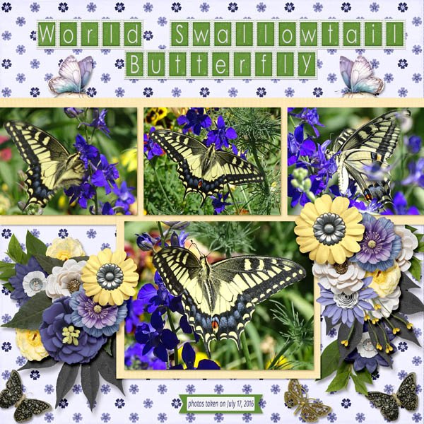 World Swallowtail Butterfly small.jpg