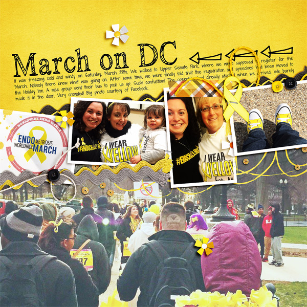 Worldwide EndoMarch, DC-2015