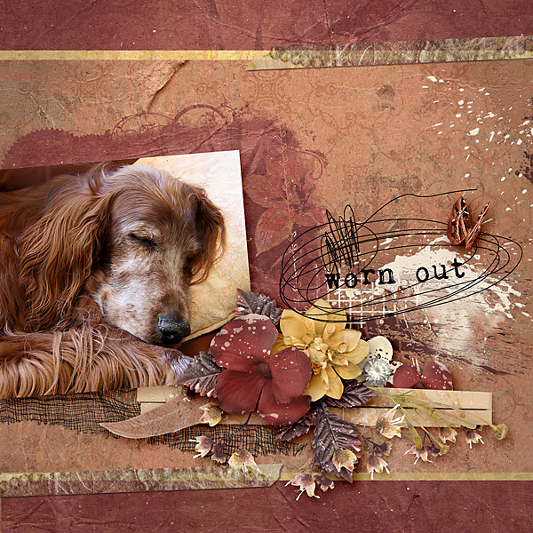 Worn Out