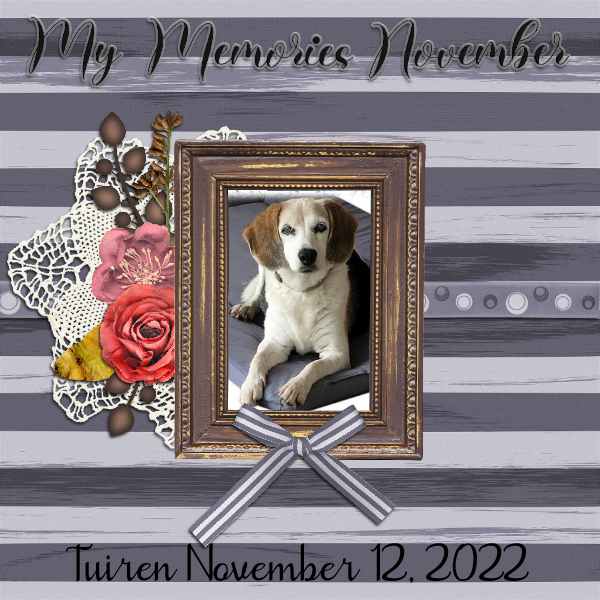 Worst November Ever