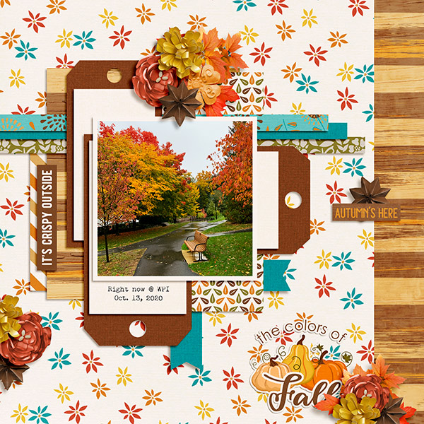 WPI Fall