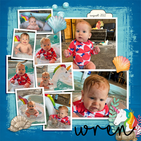 Wren-On-Vaca-R