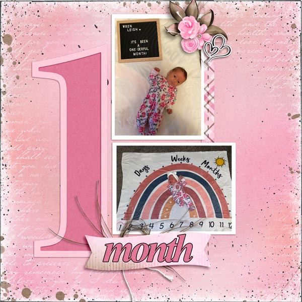 Wren_1_Month