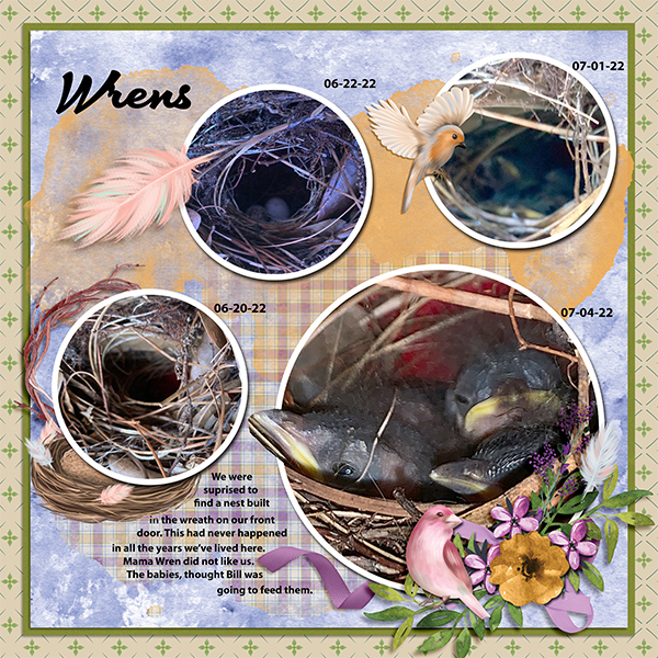Wrens