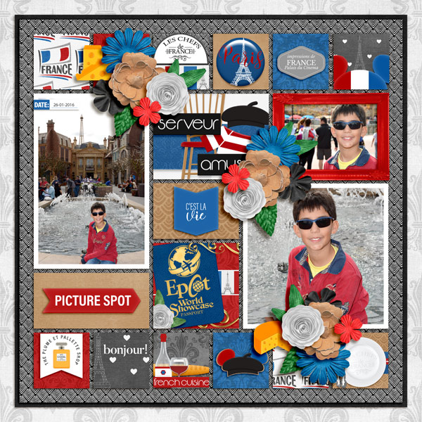 ws france