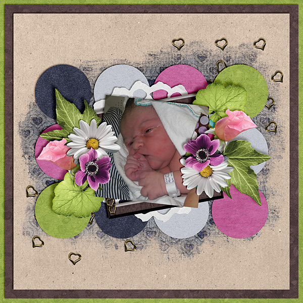 wt_T22_Sassisfrass