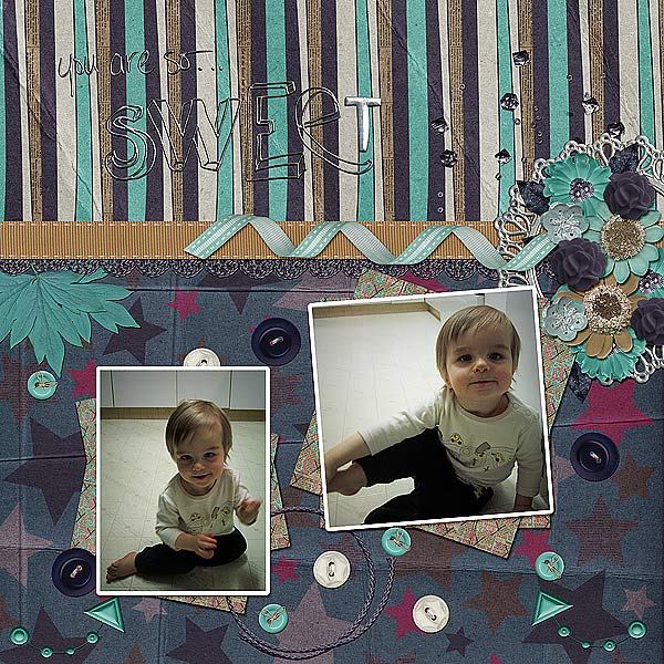 wt_The Sweet Life_kitchen Crawler