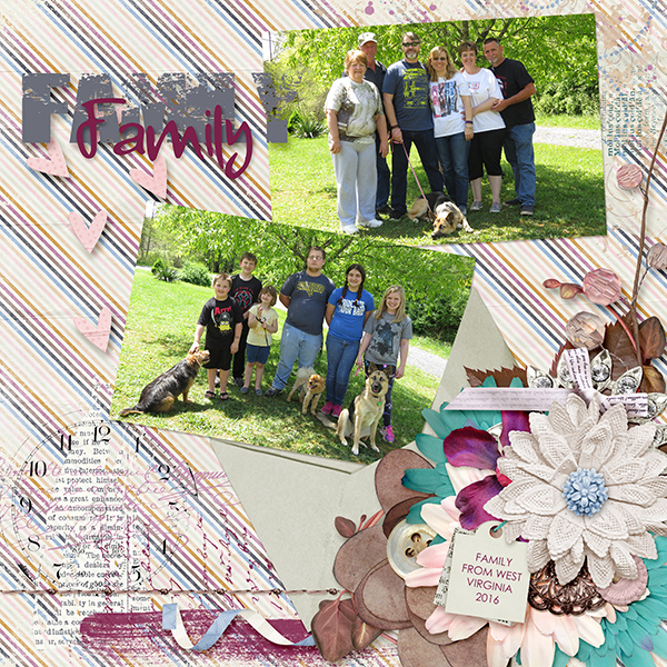 WV Family