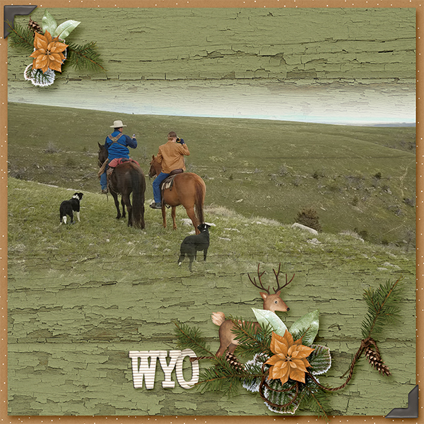 Wyo