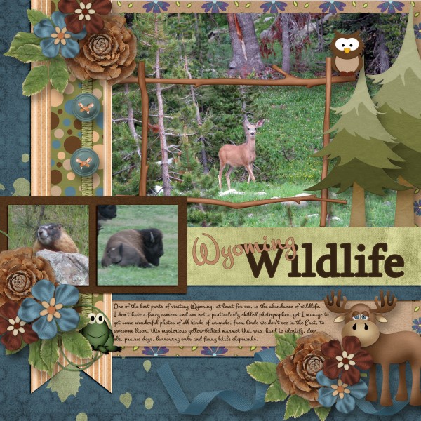 Wyoming Wildlife