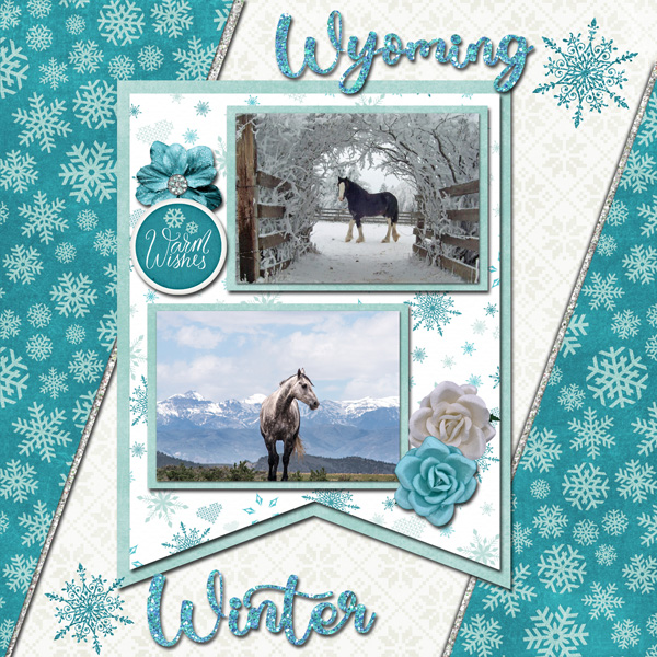 Wyoming Winter