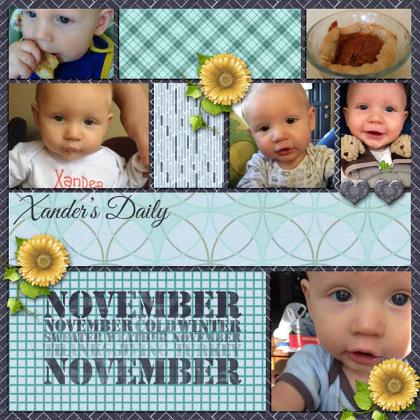 Xander's Daily