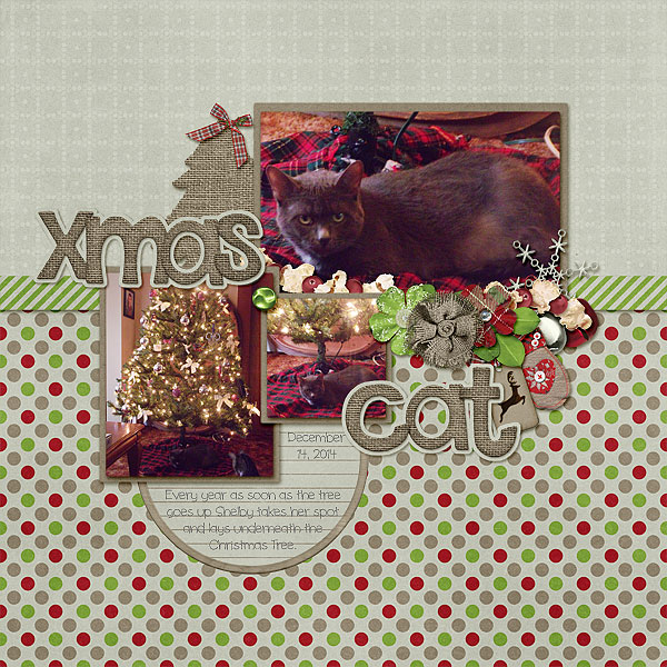 Xmas Cat
