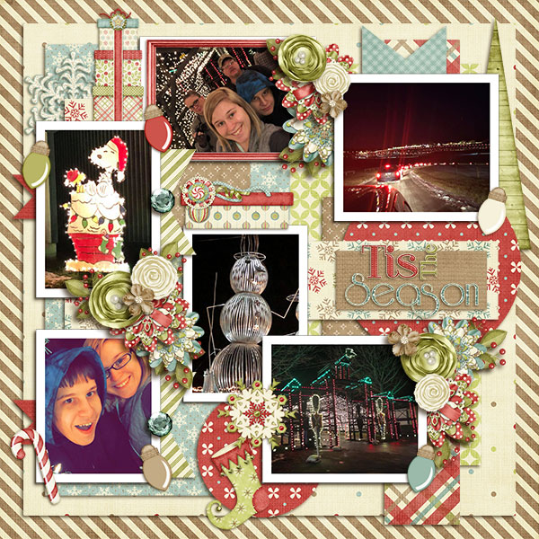 Xmas Lights Display