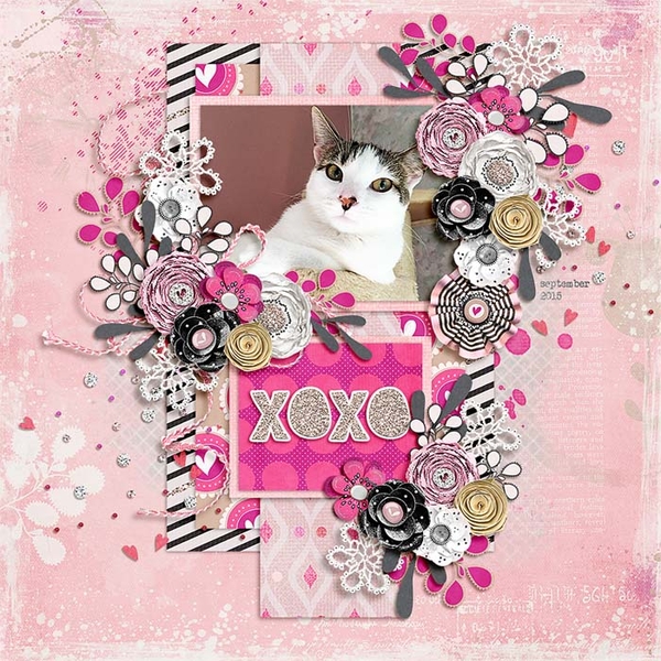 xoxo