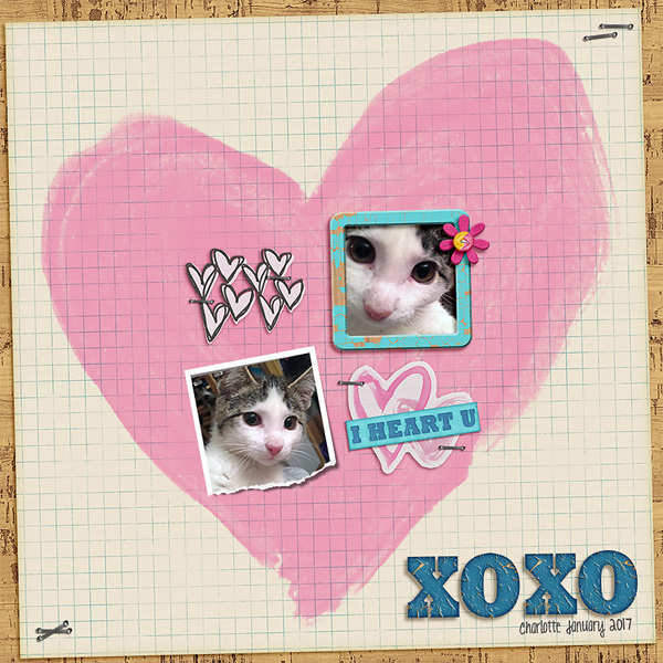xoxo