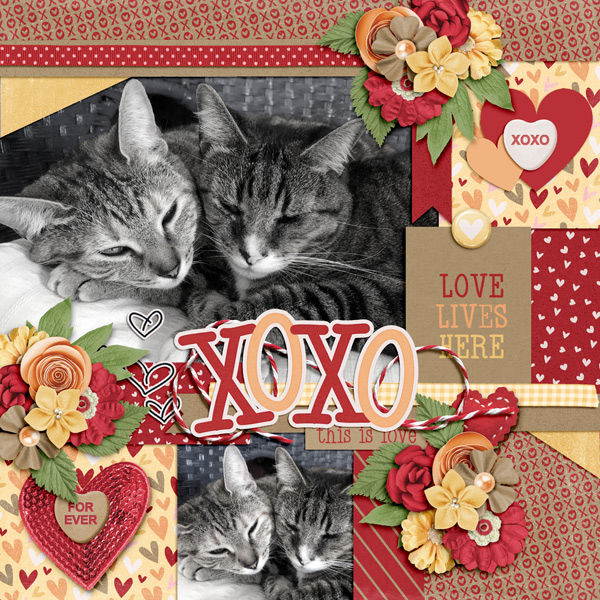 XOXO