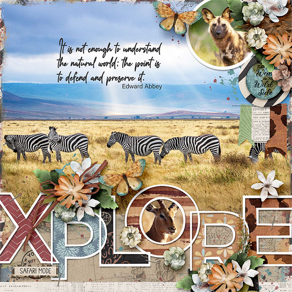 Xplore
